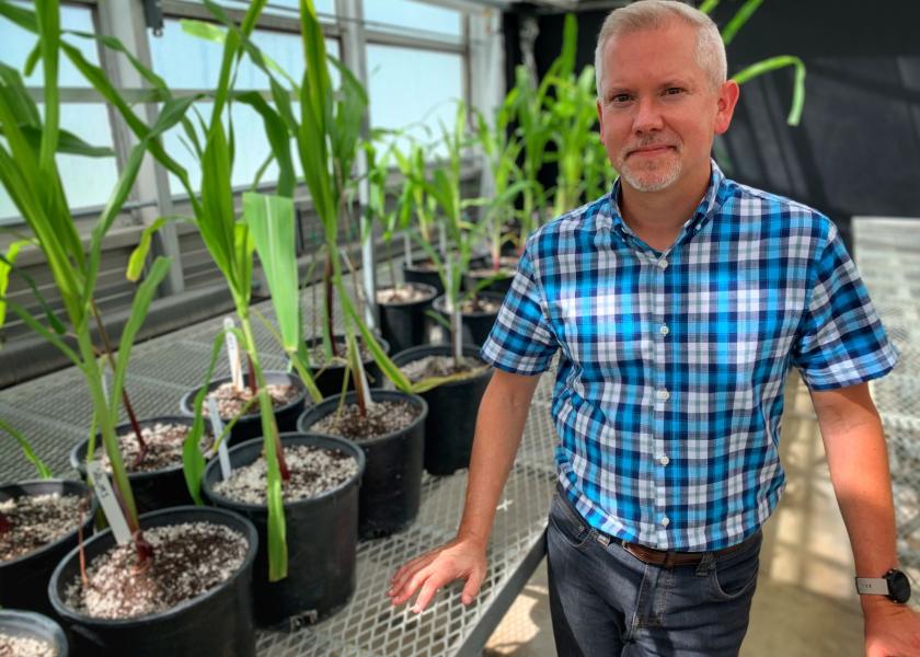 Matthew Hufford is the first author of a study detailing the genomes of 26 lines of corn. Hufford says the sheer genetic diversity present in corn created hurdles for the assembly of the genomes. Around 85% of the corn genome is composed of repeated patterns. 