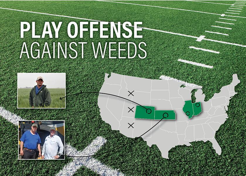 Play Offense Against Weeds