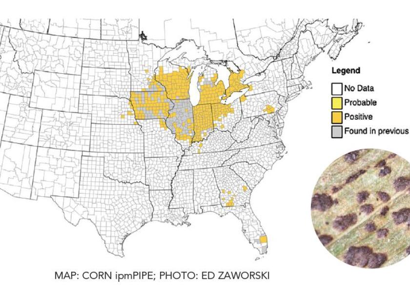 Tar Spot Found In New States, Severe Infestation Slashes Yield