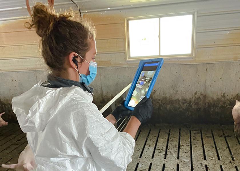 Telemedicine and African Swine Fever: 5 Reasons to Take a Closer Look