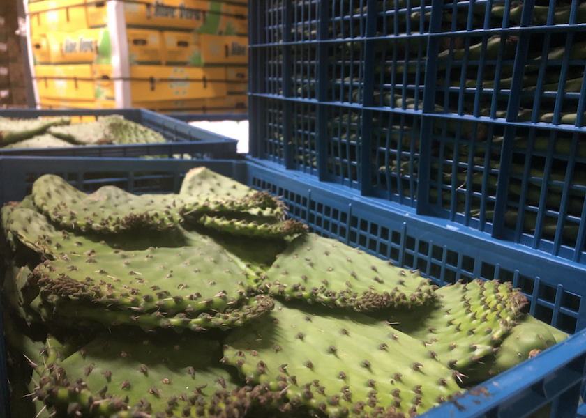 Prickly cactus pear, or nopalitos, is a specialty item enjoyed by several cultures, especially Mexican. S. Katzman Produce at Hunts Point Produce Market, Bronx, N.Y., sells this specialty item.