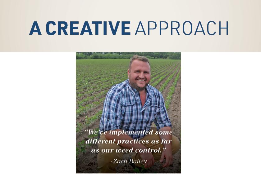 For Zach Bailey of Bailey Family Farms in Xenia, Ill., weed management success has chemical, mechanical and out-of-the-box tools. 
