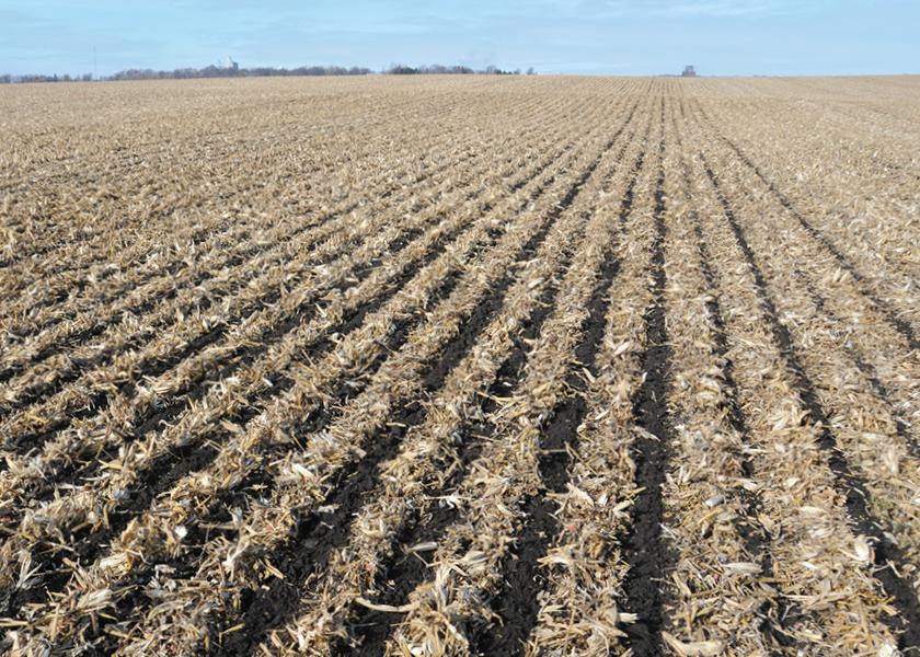 Strip Tillage Promotes Soil Health