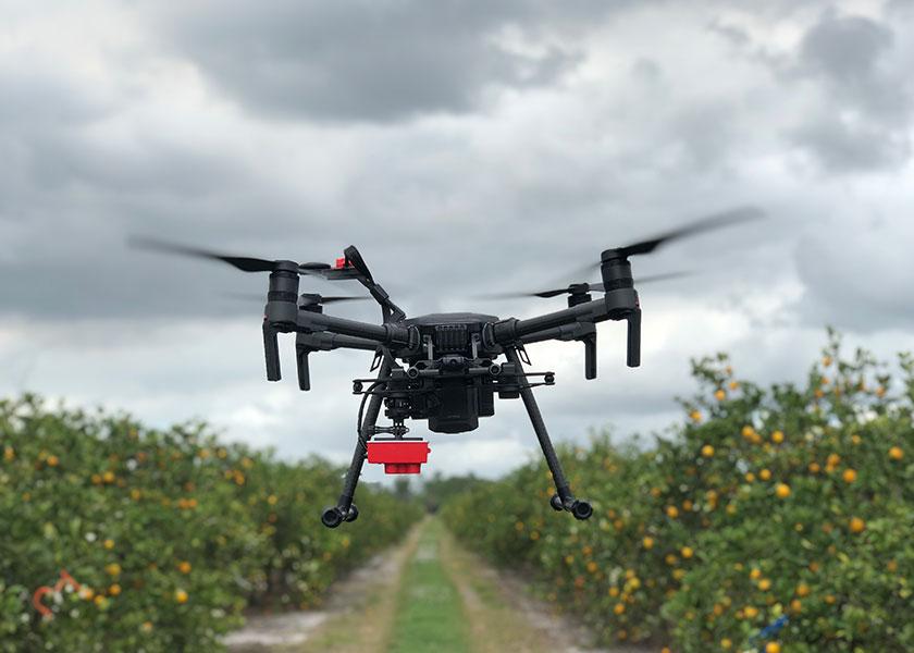 Drone flying over citrus crop
