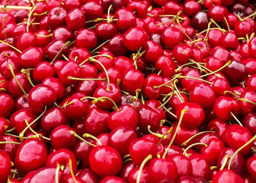 Chilean cargo carrier increases cherry exports by more than 30%