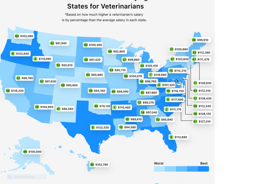 This is an overview of what veterinarians are paid across the U.S.