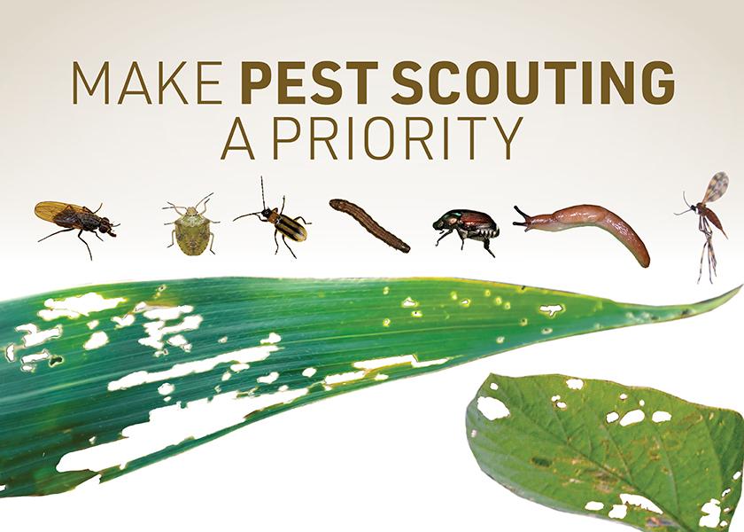 Scouting ﬁelds for pest problems is a vital component of crop health and yield outcome.