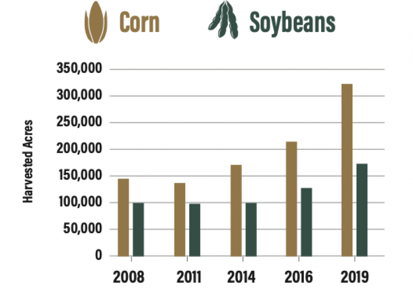 Organic corn and soybeans harvested acreage and shares of total, 2008-19.