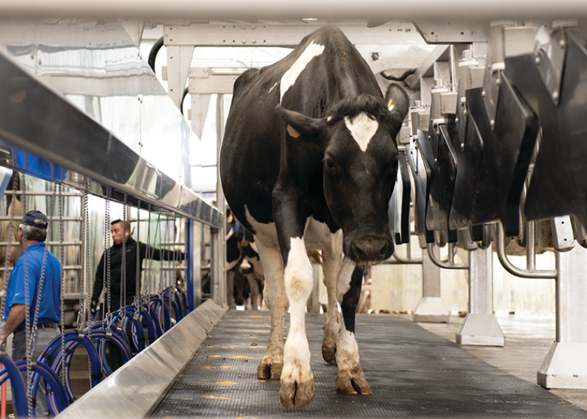 Facial Recognition Technology Meets the Cattle Industry | Dairy Herd