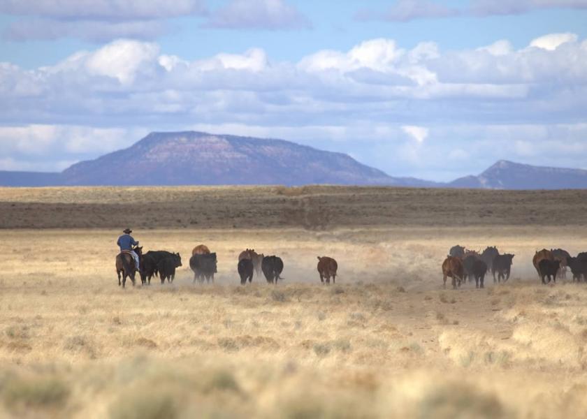 Texas ranchland posts 25% annual gain.