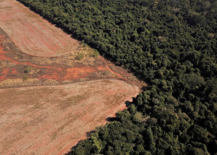 FILE PHOTO: An aerial view shows deforestation near a forest on the border between Amazonia and Cerrado in Nova Xavantina, Mato Grosso state, Brazil July 28, 2021. Picture taken July 28, 2021 with a drone. 