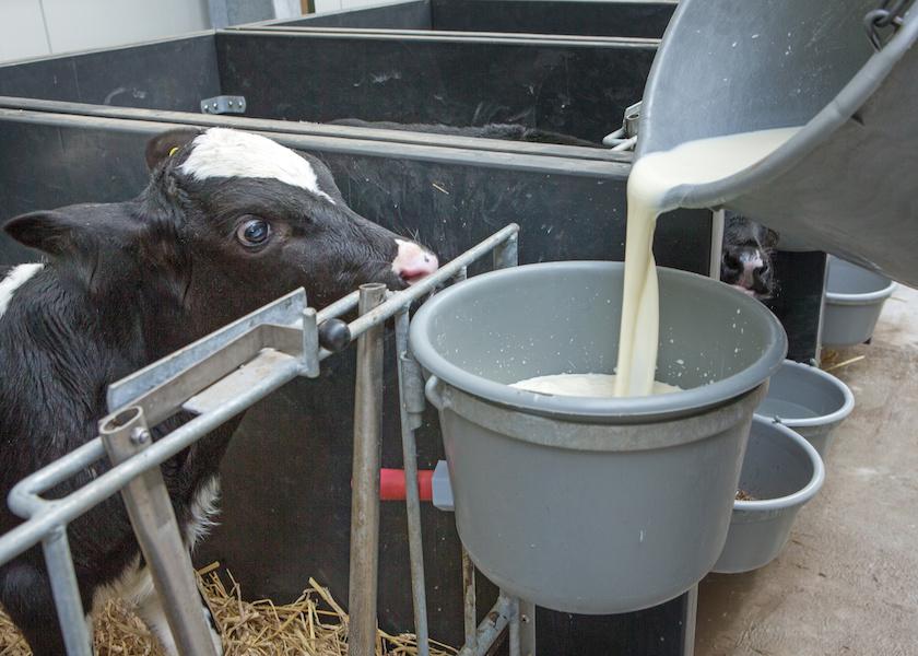 Whether you’re feeding milk replacer or whole milk, the consistency of that ration at every feeding can vary wildly, as evidenced by practical industry studies. Dialing into greater ration precision can greatly enhance likelihood your calves are routinely receiving the ration you intend for them.