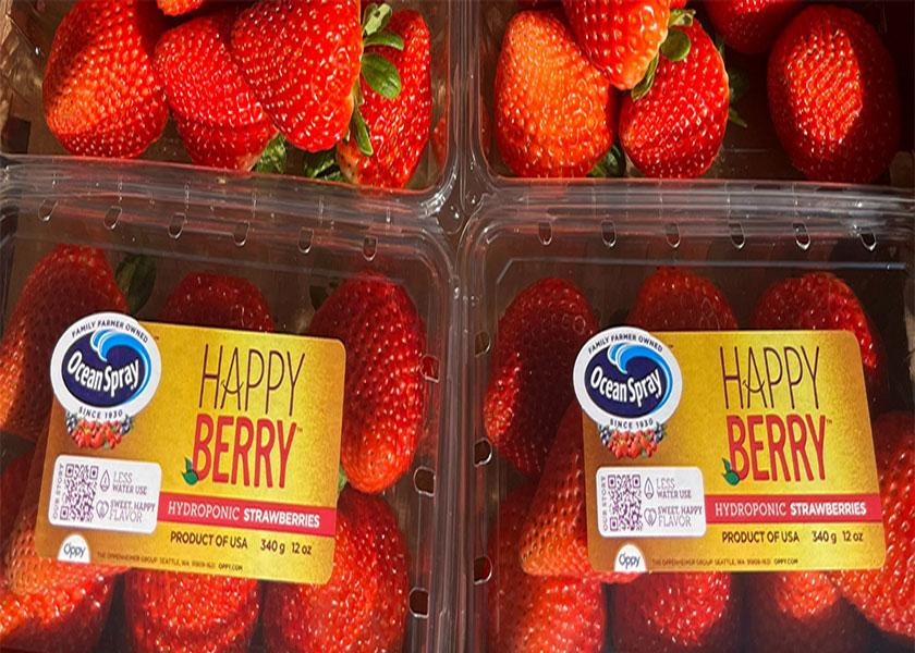 Oppy has released its first-ever hydroponic strawberry brand Happy Berry. 