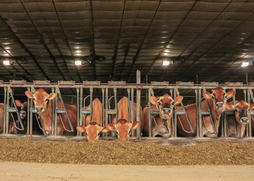 “Pushing feed is perhaps the simplest and least expensive management strategy dairy operators can implement.” 