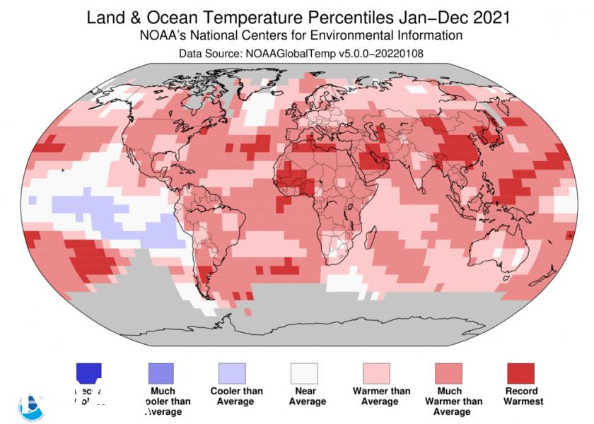 Last year was hot. It was so hot, 2021 now holds the record for the hottest ocean temperatures ever.