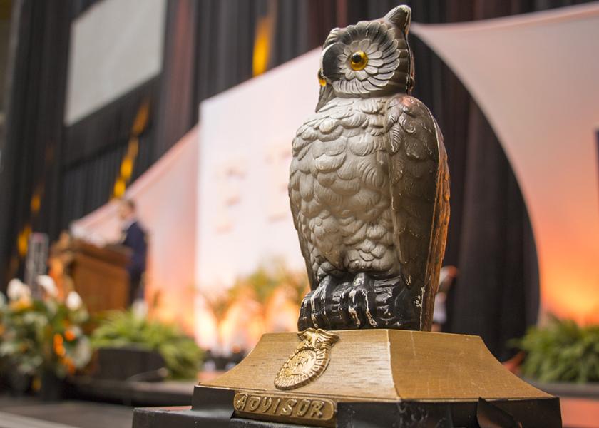 the-story-behind-why-the-owl-is-emblematic-in-ffa-agweb