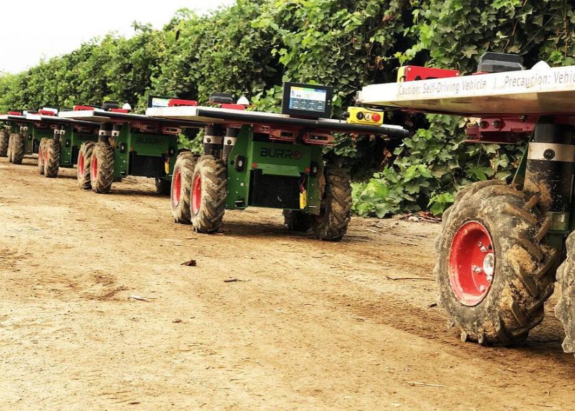 Burro automated carts lined up alongside a grape orchard in California's central valley. The company has been gaining traction in the ag-tech space. 