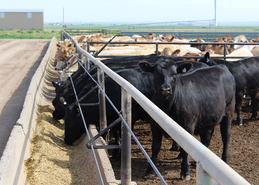 From 2017-2022, the beef-on-dairy cross calves have replaced 70% of the Holstein steers in the fed cattle harvest mix.