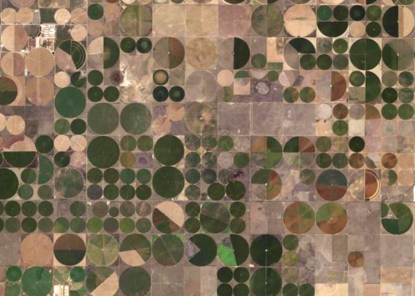 Center pivot irrigated green crop circles west of Dumas, Texas. Many circles are only partially irrigated because of limited irrigation capacities and the practice of crop rotation.