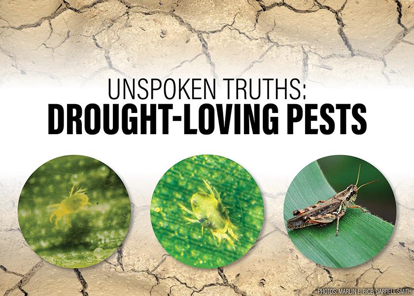 Last year showed how dry conditions create the perfect playground for a few  yield-robbing pests. The conditions could be ripe again for drought-loving pests to emerge.