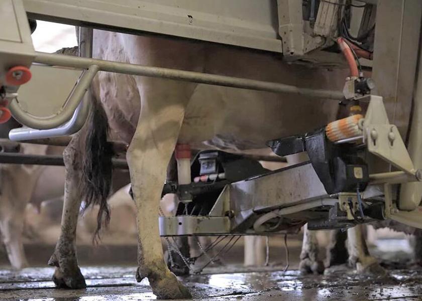 Cinnamon Ridge Farms upgraded from milking 40 cows in a tie-stall barn to building a state-of-the-art cross-ventilation barn and in 2012 they installed four Lely Astronaut A4 robotic milking systems to milk more than five times the number of cows.