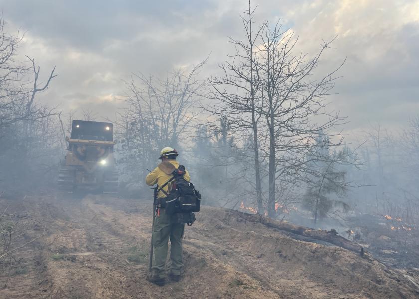 Texas A&M Forest Service firefighters have responded to 91 wildfires that burned 7,312 acres since Feb. 14. 