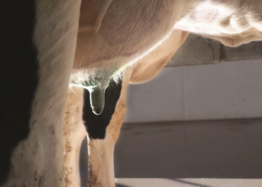 More than 50% of new udder infections can be prevented by disinfecting teats with an effective product immediately after every milking.
