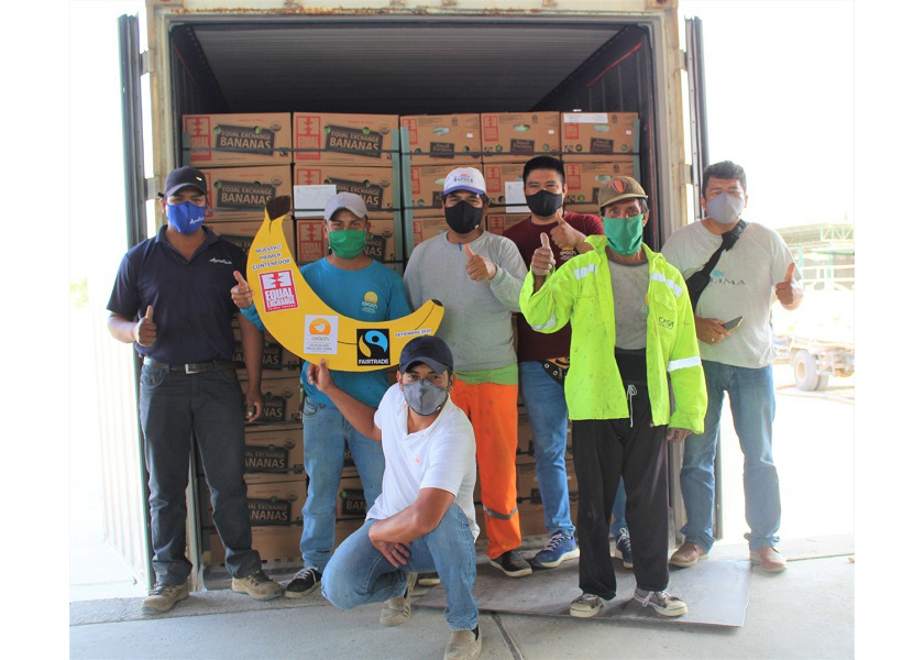 The technical team of farmer cooperative AVACH celebrates its first banana shipment with Equal Exchange in 2020.
