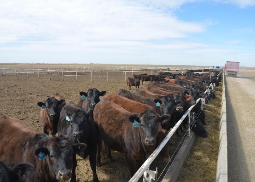 Beef-on-dairy semen sales increased by around 718k units both in the U.S. and for export.