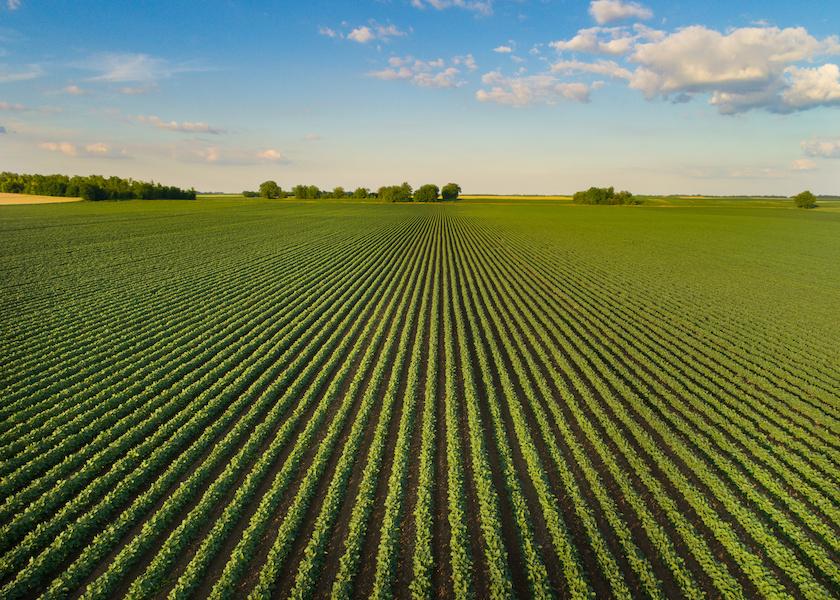 Farmland currently appears to be something akin to a modern-day gold rush. It can’t be bought up fast enough, while per-acre prices fetched for recent sales set record high after record high.