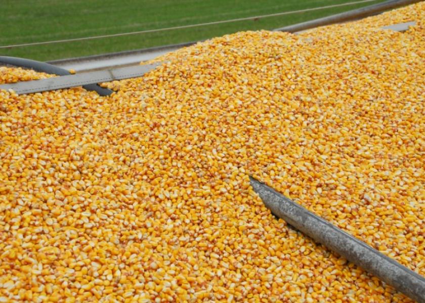 A more favorable weather forecast was released this week, and that sparked selling with front-month soybeans down nearly 60¢ Thursday. Corn traded down 21¢.