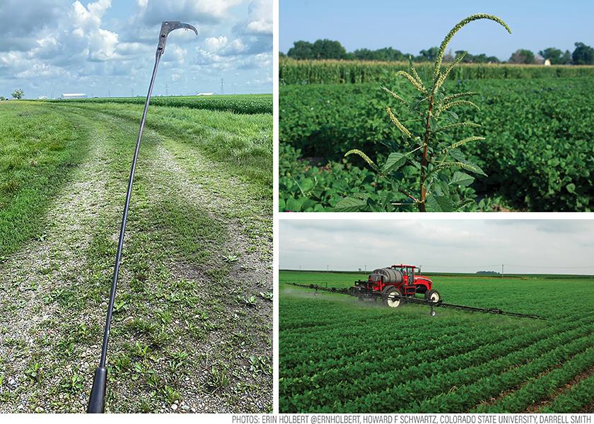 For weed control in soybeans you need a back-up plan to your back-up plan this season.