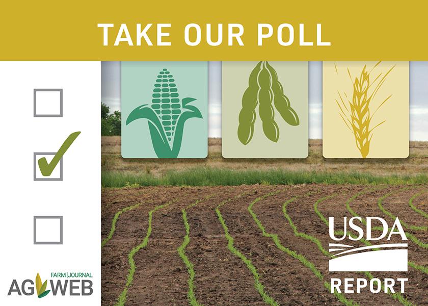 Do your planting intentions align with the USDA data released on March 31? Share your thoughts in our poll. 