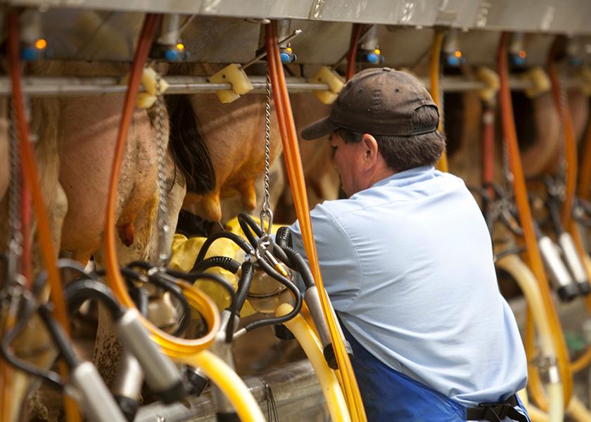 The language barrier is often a challenge for dairies, as the owner and employees don’t always speak the same language. Now that barrier is extended from employee to employee as K’iche’ (pronounced k’I ‘chay) is becoming more well-known on U.S. dairy farms.