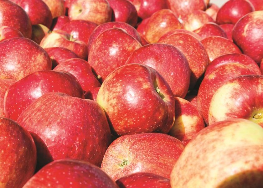 New Zealand apple acreage will decline because of a cyclone in February, the USDA reports.