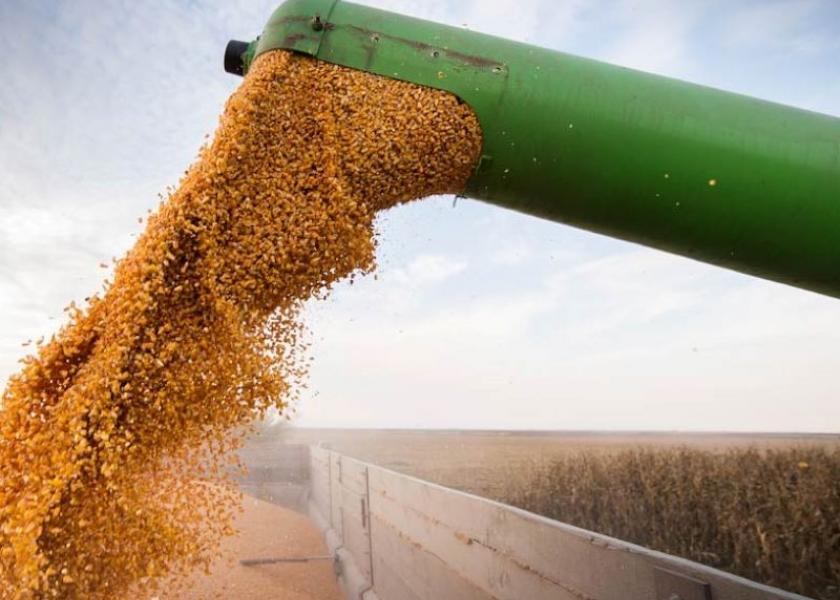 USDA lowered corn export demand by another 150 million bushels in the latest report, while also trimming soybean export numbers. 