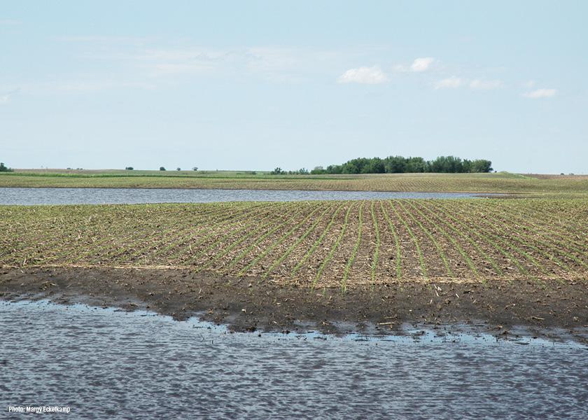 Court’s Decision Could Affect New ‘WOTUS’ Rule
