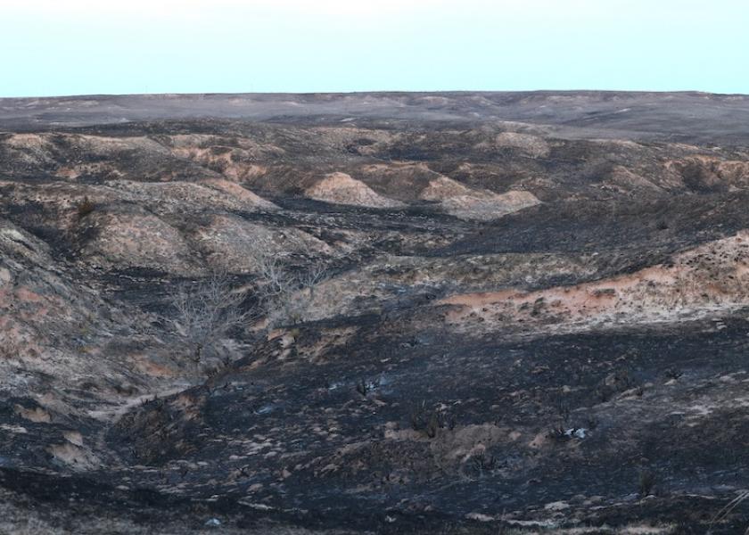 A ranch in southwest Kansas battled two wildfires in just five days as high winds and desperately dry conditions are proving to be ripe for wildfires. As a result, Cooper and Chelsea Adams lost 5,000 acres of pasture, as well as five newborn calves. 