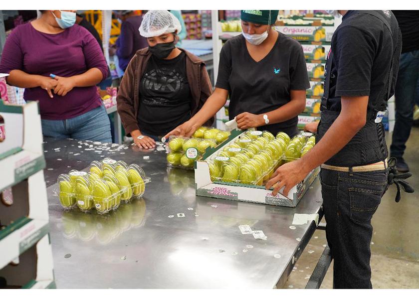 Freska Produce International LLC, Oxnard, Calif., offers several pack styles for Mexican mangoes, including clamshells, says Gary Clevenger, managing member and co-founder.