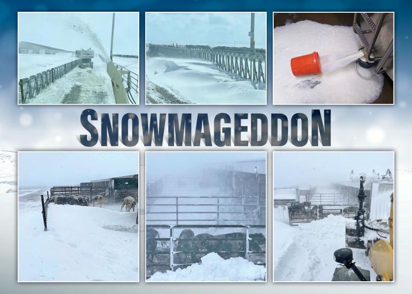 North Dakota dairy farmers workload ahead of the Easter weekend instantly become longer thanks to the storm of the century – Snowmageddon – that plowed through the northern prairie.