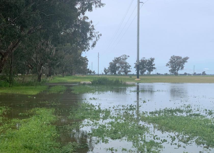Bad weather and flooding resulted in a perfect environment for mosquitoes to a level we’ve never seen here before, Paul Baxter of Riverdale Farm in New South Wales, Australia, said back in April 2022. 