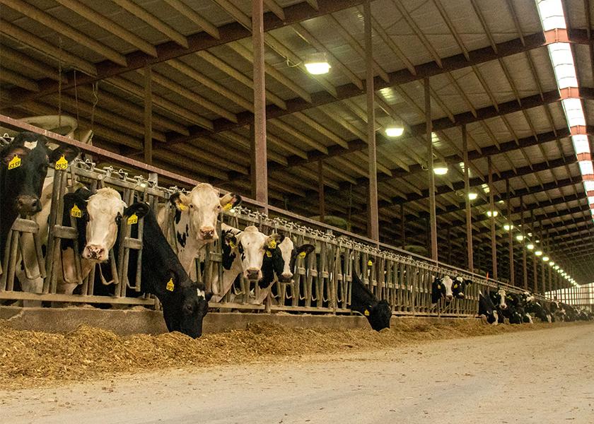 Every dairy will be impacted by FMD should it reach the U.S., even if the infection is not present on their farm.
