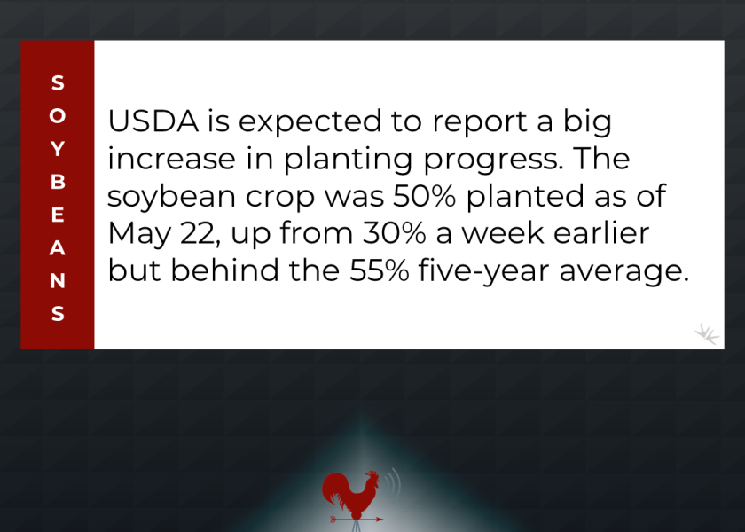 soybean planting progress