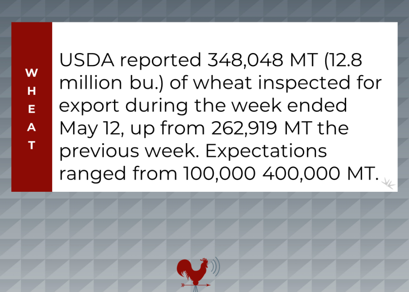 Wheat report