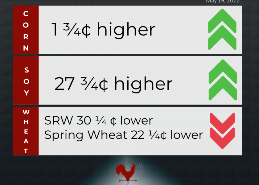 grain market recap