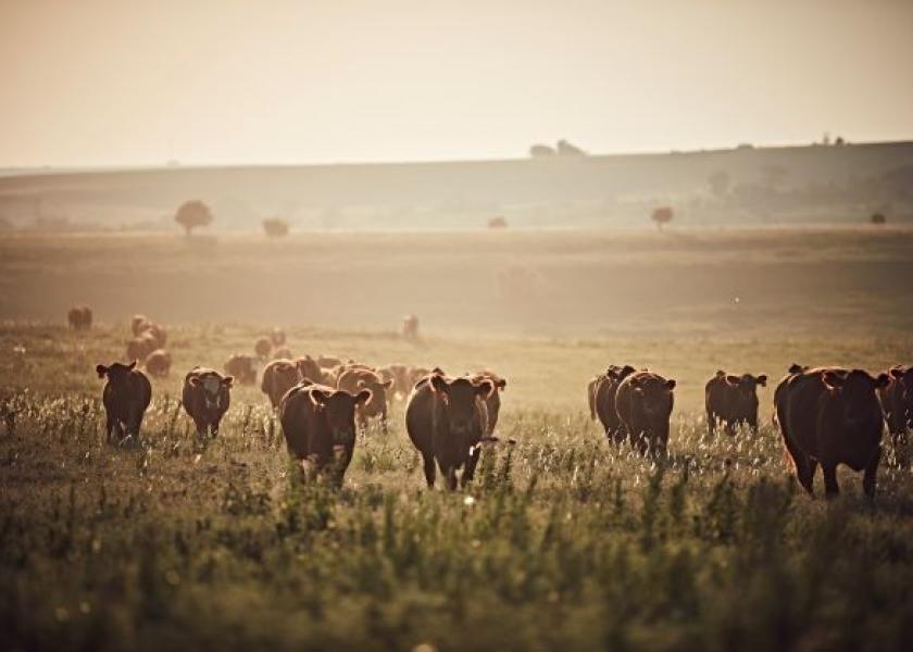 Join us for a conversation with ranchers and farmers at 3 p.m. CST, Wednesday, July 27, to learn how they’re managing through the situation. 