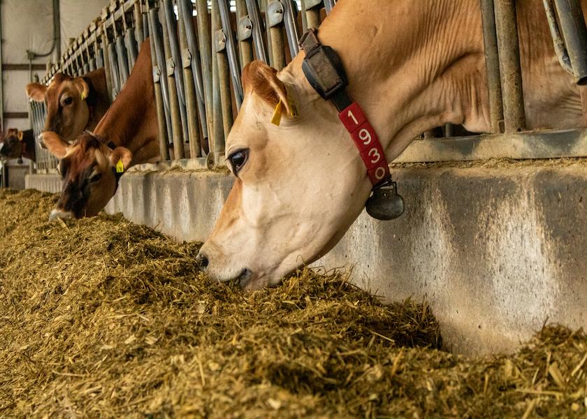 Since its debut last year, Heat Stress Protect already has been embedded into the Farmlife® herd monitoring system, and is thus monitoring heat stress conditions for more than 50,000 dairy cows in France. 