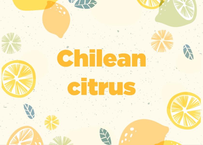 Chilean citrus exports are forecast to rise.

