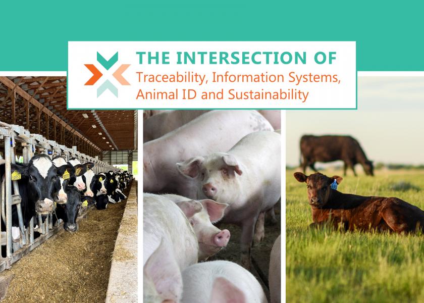 It's time to address and activate the interconnectivity of traceability, information systems, animal identification and sustainability to guide animal agriculture in sharing its “story.”