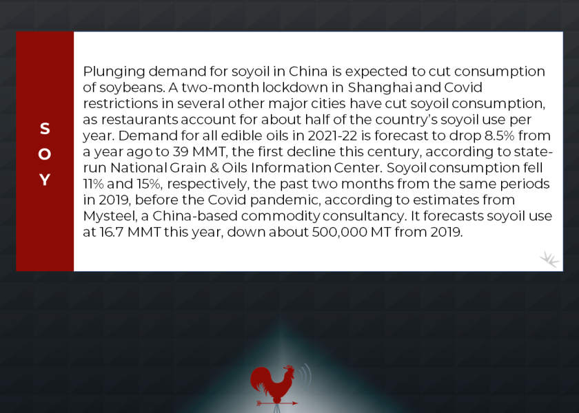 AM news snip